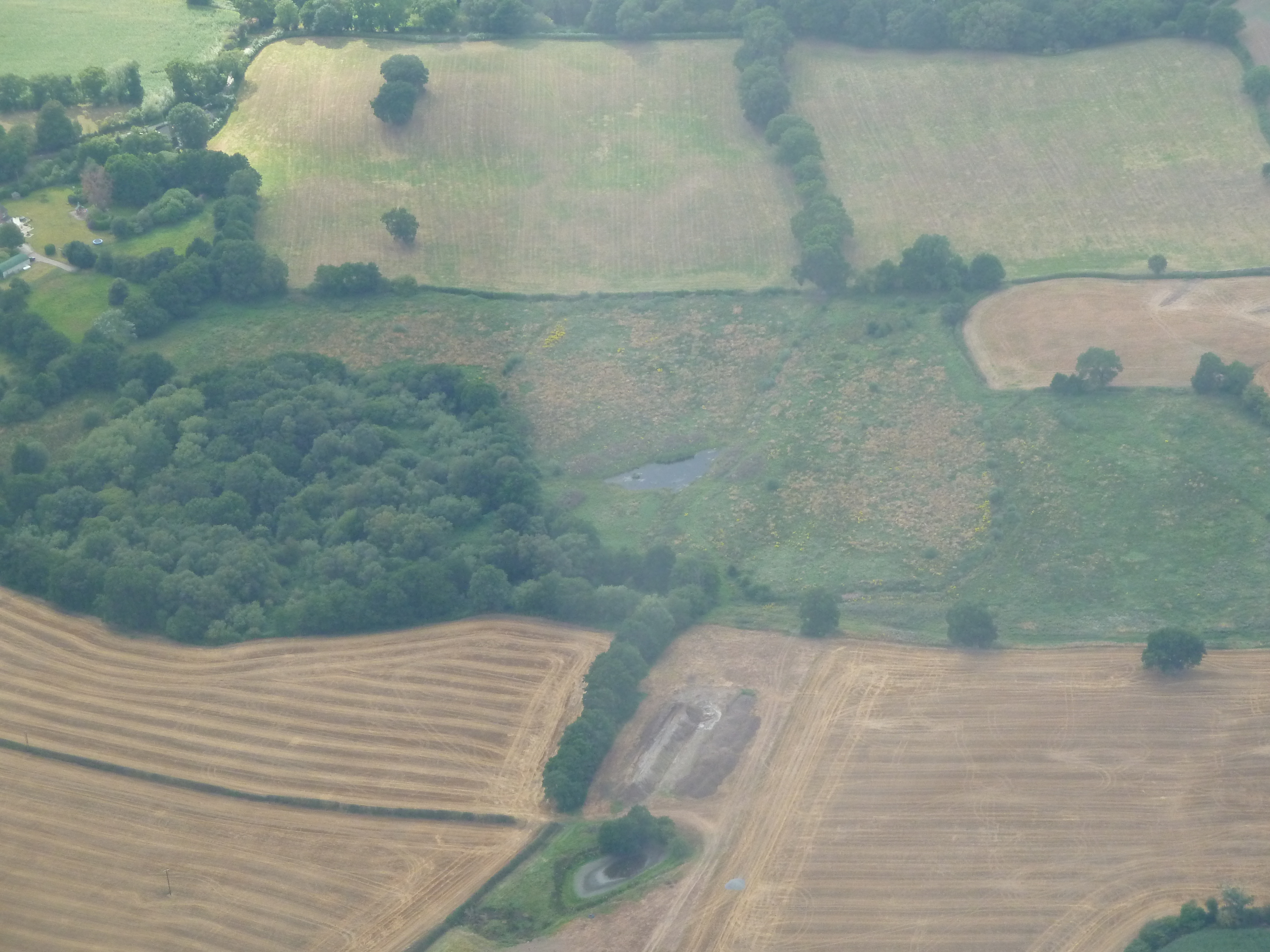 Aerial view of our land, woods to the left